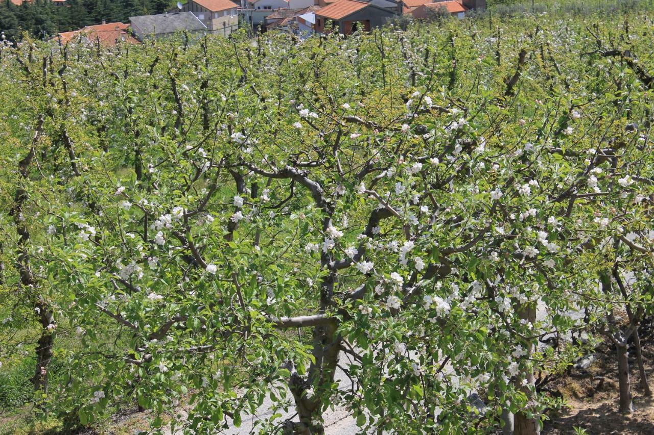 Casa Do Batista Séjour à la ferme *